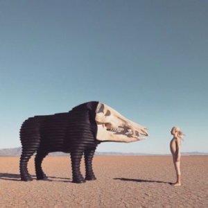 Man Man - Dream Hunting In The Valley Of The in the group VINYL / Rock at Bengans Skivbutik AB (3789106)