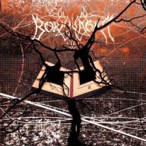 Borknagar - Epic in the group CD / Hårdrock,Norsk Musik at Bengans Skivbutik AB (3789131)
