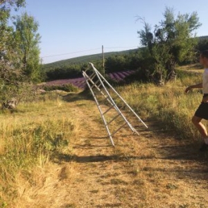 Caroline - Dark Blue in the group VINYL / Pop-Rock at Bengans Skivbutik AB (3789997)