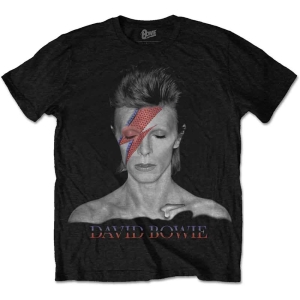 David Bowie - Aladdin Sane Uni Bl    in the group MERCHANDISE / T-shirt / Pop-Rock at Bengans Skivbutik AB (3795865r)