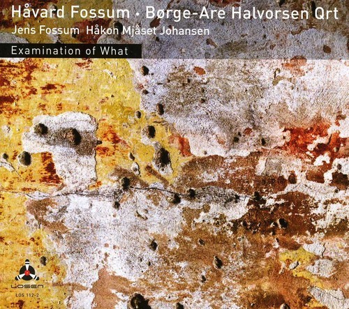 Fossum Håvard/Halvorsen Börge Are Q - Ex in the group CD / Jazz/Blues at Bengans Skivbutik AB (3798972)