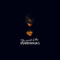 Loveninjas - Secret Of The Loveninjas in the group CD / Pop-Rock at Bengans Skivbutik AB (3798994)