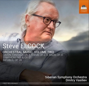 Elcock Steve - Orchestral Music, Vol. 2 in the group CD / Klassiskt at Bengans Skivbutik AB (3799082)