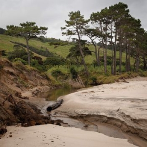 Clora - Till Doro in the group VINYL / Pop-Rock at Bengans Skivbutik AB (3803562)