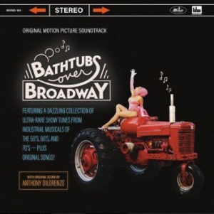 Bathtubs Over Broadway - Original Motion Soundtrack in the group VINYL / Film/Musikal at Bengans Skivbutik AB (3805441)