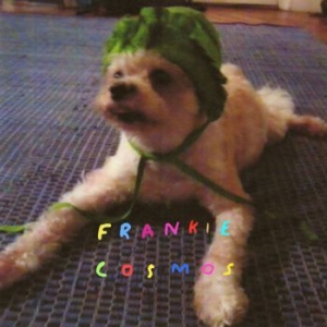 Frankie Cosmos - Zentropy in the group CD / Pop-Rock at Bengans Skivbutik AB (3807906)