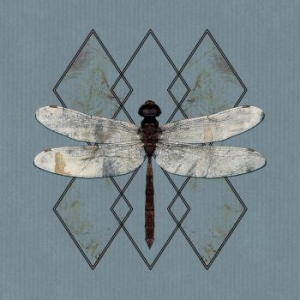 Ohhms - Close in the group CD / Pop-Rock at Bengans Skivbutik AB (3808119)