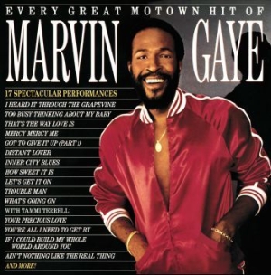 Marvin Gaye - Every Great Motown Hit (Vinyl) in the group VINYL / Pop-Rock at Bengans Skivbutik AB (3808159)