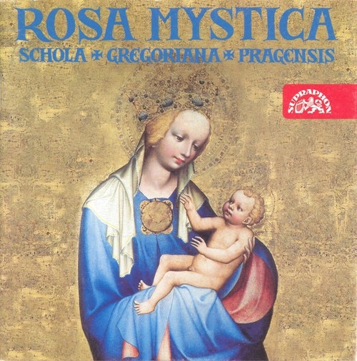 Various - Rosa Mystica: Devotion To The Virgi in the group CD / Bestsellers at Bengans Skivbutik AB (3812908)