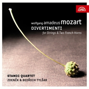 Mozart W A - Divertimenti For Strings & Two Fren in the group CD / Klassiskt at Bengans Skivbutik AB (3816033)