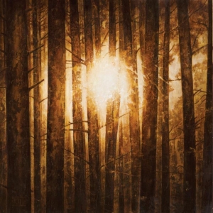 In Mourning - Echoes (3Lp Boxset Silver) in the group VINYL / Hårdrock,Svensk Musik at Bengans Skivbutik AB (3818824)