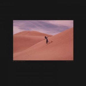 Bing & Ruth - Species in the group VINYL / Pop-Rock at Bengans Skivbutik AB (3819055)