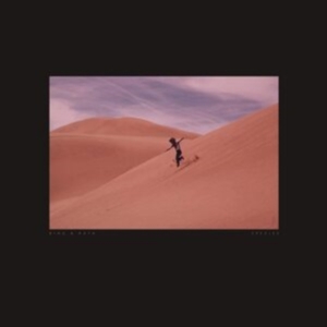 Bing & Ruth - Species in the group CD / Pop-Rock at Bengans Skivbutik AB (3819062)