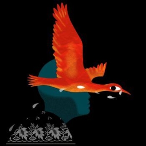 Meimuna - Bestiaire Ii in the group VINYL / Pop-Rock at Bengans Skivbutik AB (3820365)