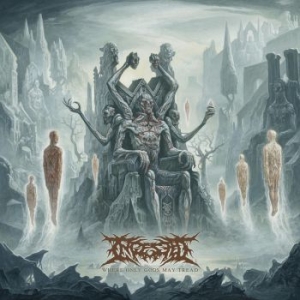 Ingested - Where Only Gods May Tread (Box) in the group CD / Hårdrock/ Heavy metal at Bengans Skivbutik AB (3820400)