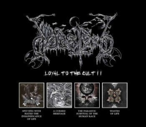 Dodsferd - Loyal To The Cult Ii (4Cd) in the group CD / Upcoming releases / Hardrock/ Heavy metal at Bengans Skivbutik AB (3820443)