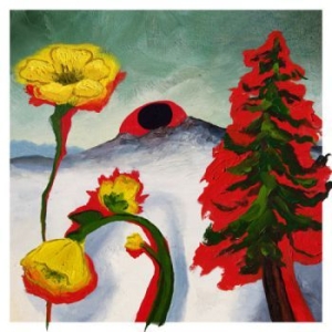 Woods - Strange To Explain - Ltd in the group VINYL / Pop-Rock at Bengans Skivbutik AB (3821776)