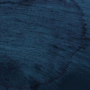 Multicast Dynamics - Aquatic System in the group OTHER / Övrigt / at Bengans Skivbutik AB (3829687)