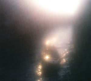 Ensemble Economique - Blossoms In Red in the group CD / Pop-Rock at Bengans Skivbutik AB (3830286)