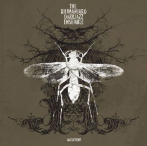 Kilimanjaro Darkjazz Ensemble The - Mutations in the group CD / Pop-Rock at Bengans Skivbutik AB (3830297)