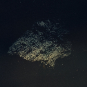 Multicast Dynamics - Lost World in the group CD / Pop at Bengans Skivbutik AB (3830340)