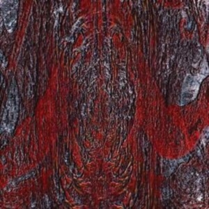 Asfast - Prime Same in the group CD / Pop-Rock at Bengans Skivbutik AB (3830350)