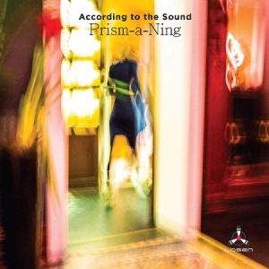 According To The Sound - Prism A Ning in the group CD / Jazz at Bengans Skivbutik AB (3835036)