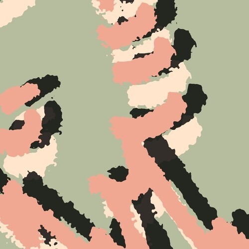 Shielding - Collecting Seaweed Ep in the group VINYL / Rock at Bengans Skivbutik AB (3838726)