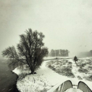 Beequeen - Winter in the group VINYL / Pop-Rock at Bengans Skivbutik AB (3838739)