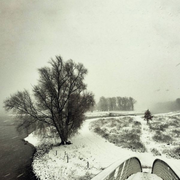 Beequeen - Winter in the group VINYL / Rock at Bengans Skivbutik AB (3838739)