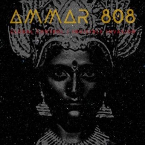 Ammar 808 - Global Control / Invisible Invasion in the group VINYL / Dans/Techno at Bengans Skivbutik AB (3838832)