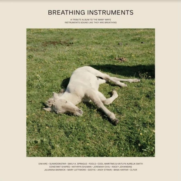 Various Artists - Breathing Instruments in the group VINYL / Bestsellers at Bengans Skivbutik AB (3840174)