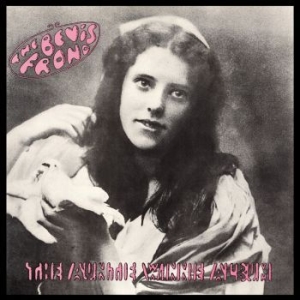 Bevis Frond - Auntie Winnie Album in the group CD / Rock at Bengans Skivbutik AB (3842264)