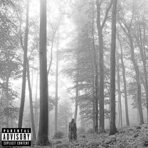 Taylor Swift - Folklore in the group OUR PICKS / Album Of The Year 2020 / NME 2020 at Bengans Skivbutik AB (3842674)