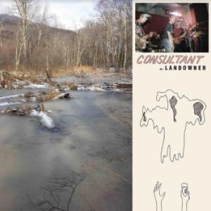 Landowner - Consultant in the group VINYL / Rock at Bengans Skivbutik AB (3843460)