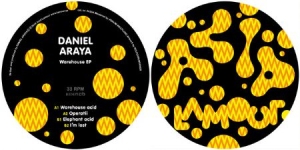 Daniel Araya - Warehouse EP in the group Labels / Lamour Records at Bengans Skivbutik AB (3844146)