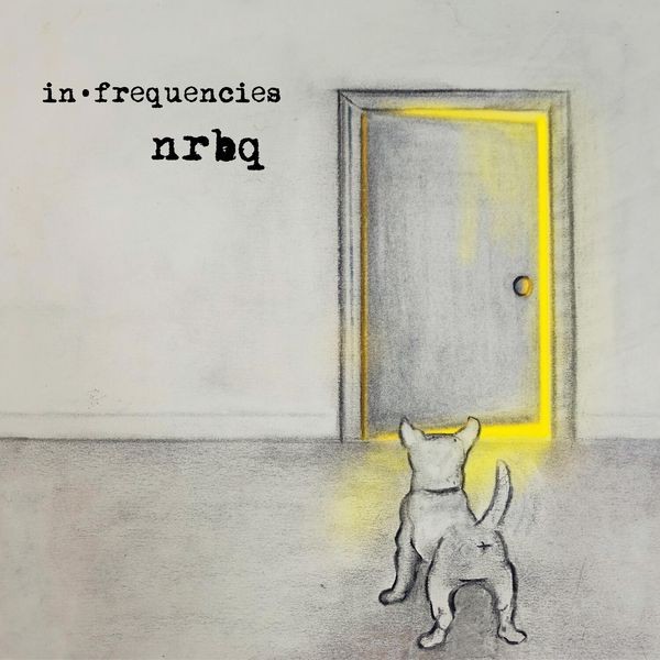 NRBQ - In Frequencies in the group VINYL / Rock at Bengans Skivbutik AB (3844407)