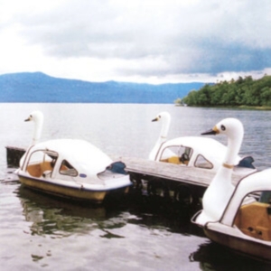 Lindh Karl - Bortom E4Æs Horisont in the group VINYL / Pop-Rock at Bengans Skivbutik AB (3844431)