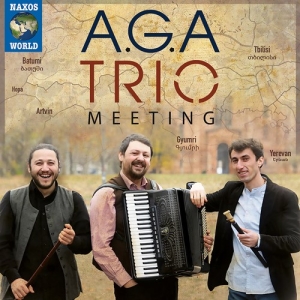 A.G.A Trio - Meeting in the group CD / Elektroniskt,World Music at Bengans Skivbutik AB (3844539)
