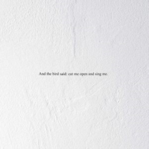 Prairie - And The Bird Said: Cut Me Open And in the group Labels / Woah Dad / at Bengans Skivbutik AB (3846185)