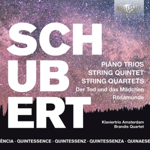 Franz Schubert - Quintessence Schubert - Piano Trios in the group Externt_Lager /  at Bengans Skivbutik AB (3846958)