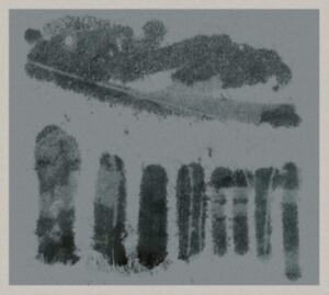 Wells Bill - Viaduct Tuba Trio Plays The Music O in the group OTHER / Övrigt /  at Bengans Skivbutik AB (3847473)