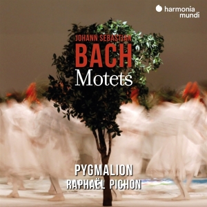 Pygmalion / Raphael Pichon - Bach Motets in the group CD / CD Classical at Bengans Skivbutik AB (3848643)