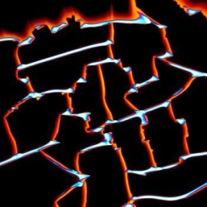 Newham Generals - War Wid in the group VINYL / Pop at Bengans Skivbutik AB (3852659)