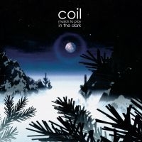 Coil - Musick To Play In The Dark in the group VINYL / Dance-Techno,Pop-Rock at Bengans Skivbutik AB (3860031)