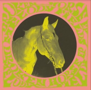 Melody Fields - Broken Horse Ep in the group Minishops / Melody Fields at Bengans Skivbutik AB (3860263)