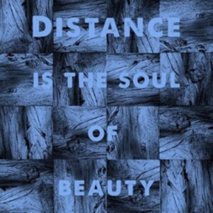 Sheehy Michael J - Distance Is The Soul Of Beauty in the group CD / Pop-Rock at Bengans Skivbutik AB (3866097)