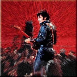 Elvis Presley - FRIDGE MAGNET: SHINE in the group MERCHANDISE / Magnet / Pop-Rock at Bengans Skivbutik AB (3882403)