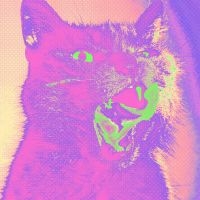 Teenanger - Good Time in the group VINYL / Hårdrock,Pop-Rock at Bengans Skivbutik AB (3894427)