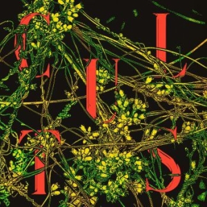 Cults - Host (Evergreen Vinyl) in the group VINYL / Pop-Rock at Bengans Skivbutik AB (3894556)